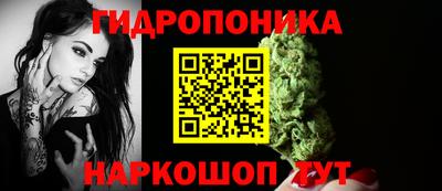 ГАЛЛЮЦИНОГЕННЫЕ ГРИБЫ Нальчик