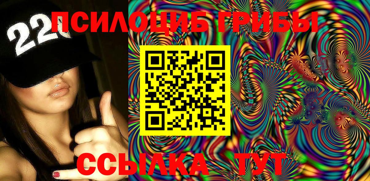Псилоцибиновые грибы MAGIC MUSHROOMS  как найти закладки  Вход с VPN  Рузаевка  Псилоцибиновые грибы Psilocybe 