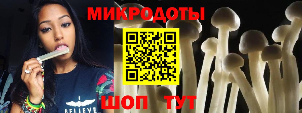Галлюциногенные грибы Psilocybine cubensis Рузаевка